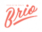Brio logo